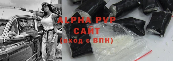 стафф Новозыбков