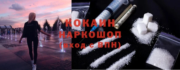 крисы Новокубанск
