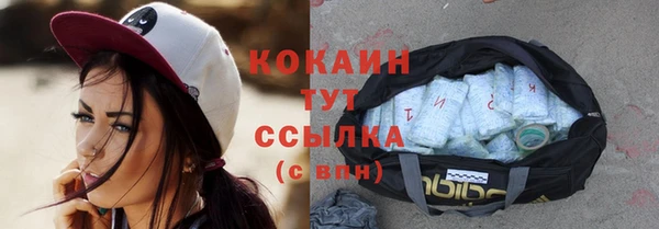 крисы Новокубанск