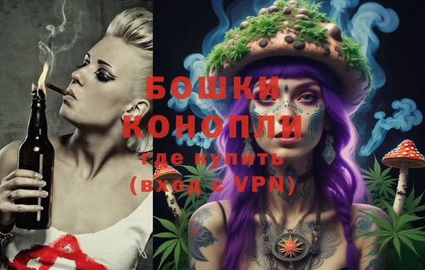 стафф Новозыбков
