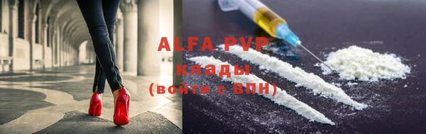 стафф Новозыбков
