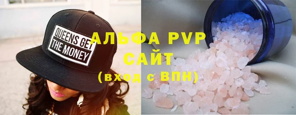 стафф Новозыбков