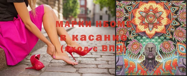крисы Новокубанск