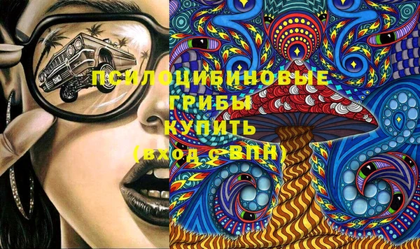 стафф Новозыбков