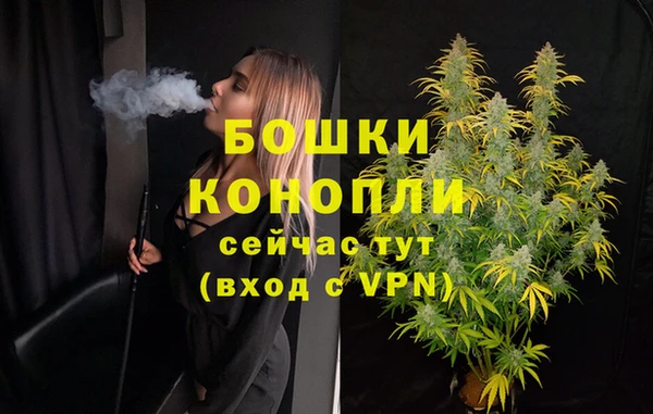 крисы Новокубанск