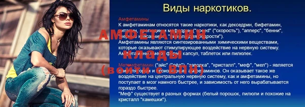 стафф Новозыбков