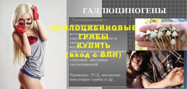 крисы Новокубанск
