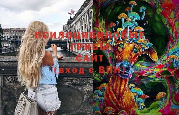 дурь Нягань