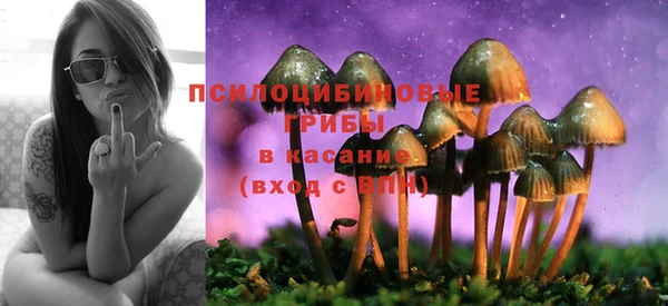 стафф Новозыбков