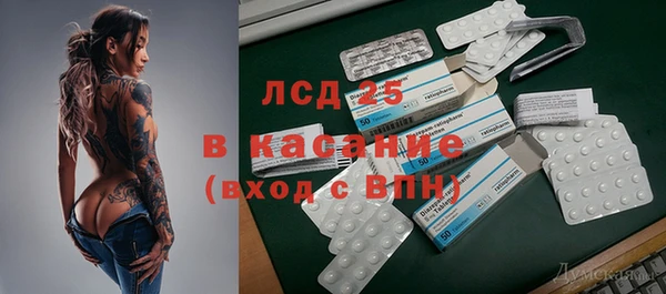 крисы Новокубанск