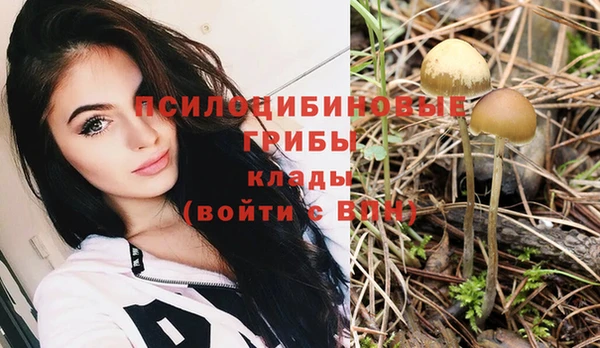 Альфа ПВП Новодвинск