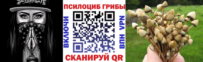 магазин продажи наркотиков  Анапа  Псилоцибиновые грибы GOLDEN TEACHER 