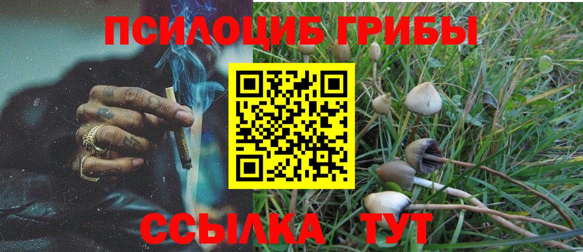 Галлюциногенные грибы MAGIC MUSHROOMS  Анапа 