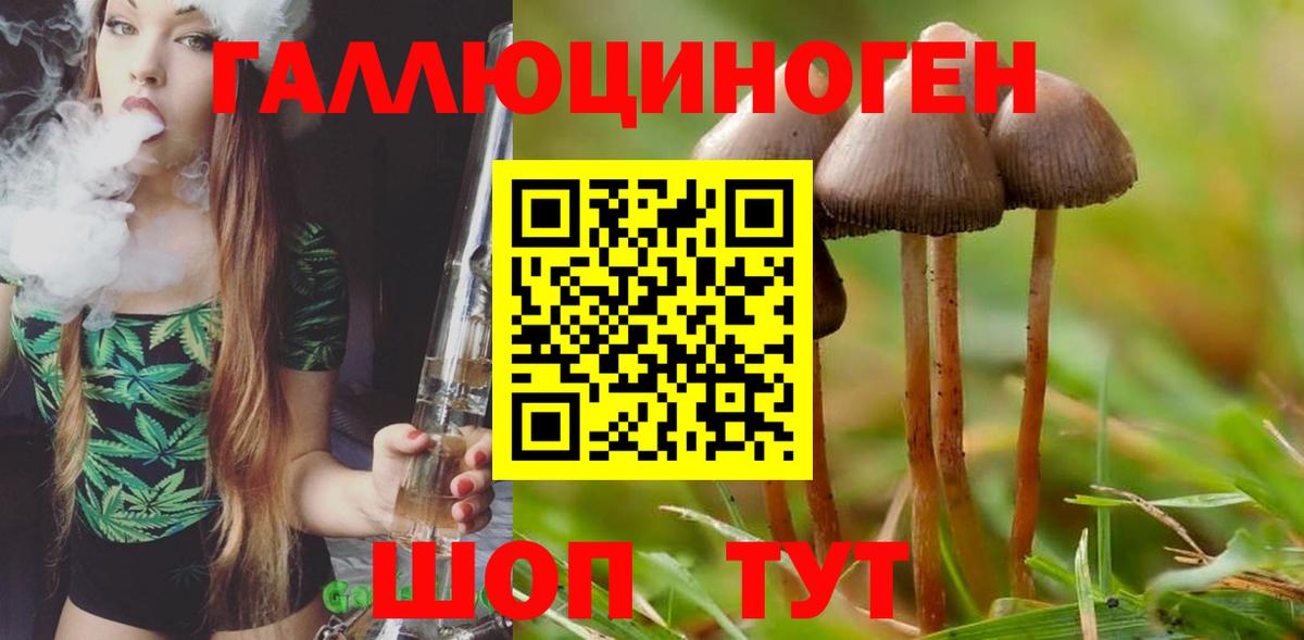 Галлюциногенные грибы мицелий  Вход с VPN  Анапа  Псилоцибиновые грибы Cubensis 
